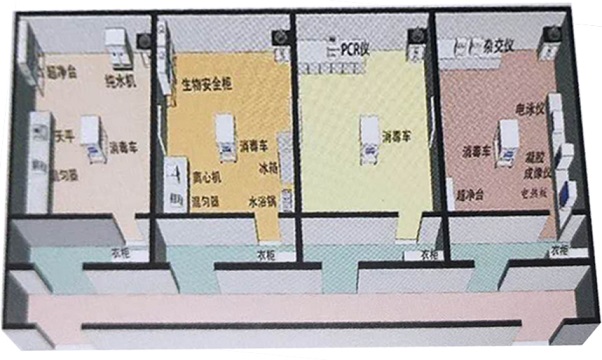 PCR實驗室3D平面圖